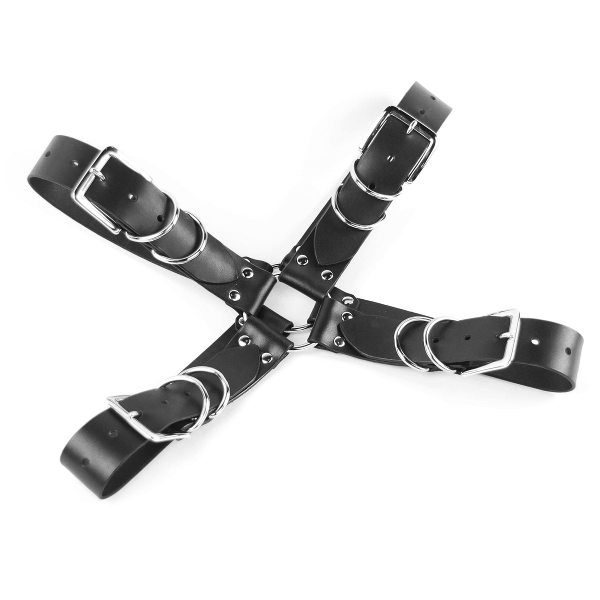 Harnesses – Leather Coven
